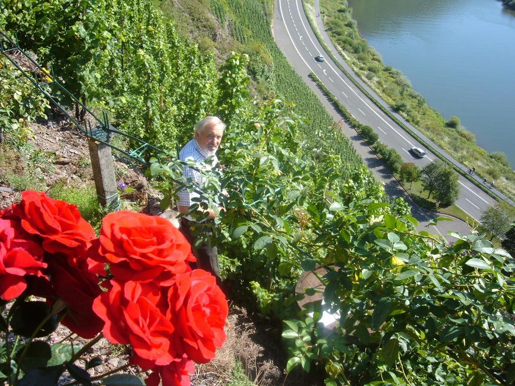 Kleines Winzerhaeuschen Bremm Quarto foto