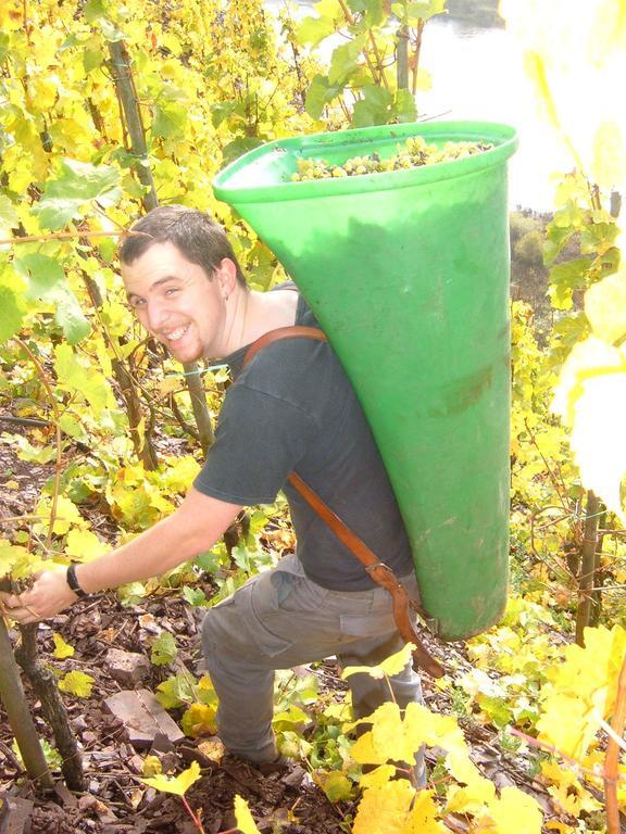 Kleines Winzerhaeuschen Bremm Quarto foto