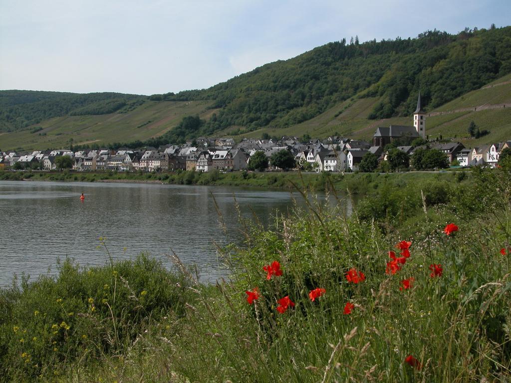 Kleines Winzerhaeuschen Bremm Quarto foto