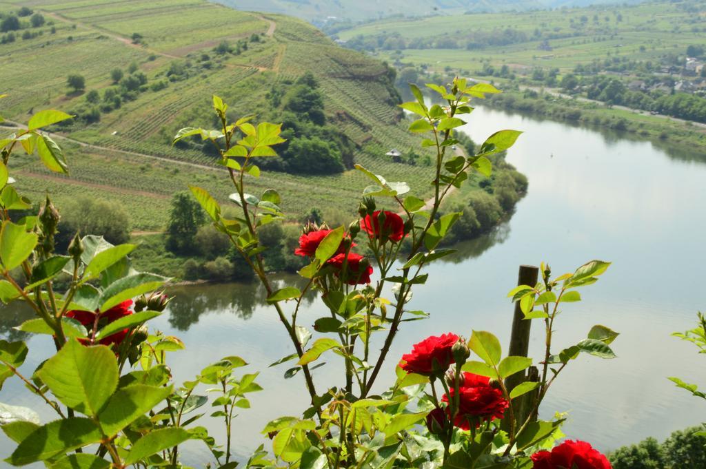 Kleines Winzerhaeuschen Bremm Exterior foto